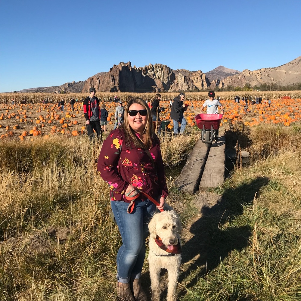 Meet your Posher, Dacia